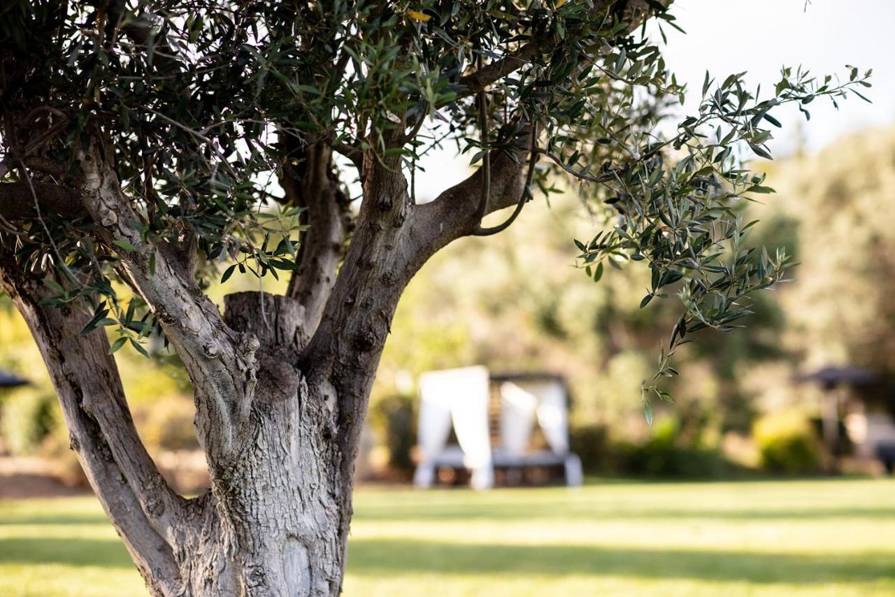 Vila Valverde Design Country Hotel Luz Esterno foto